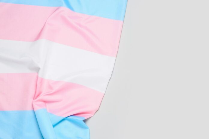 bandiera transgender